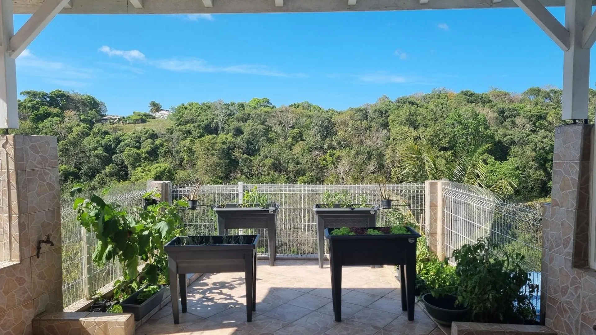 شقة La Grande Terrasse Couture ساينت آن غوادلوب